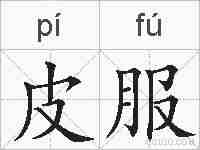 皮服的拼音