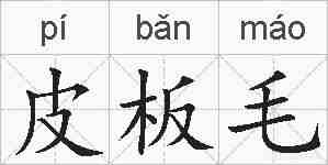 皮板毛的拼音