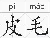 皮毛的拼音