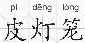 皮灯笼的拼音