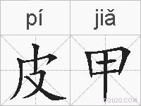 皮甲的拼音