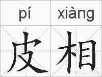 皮相的拼音