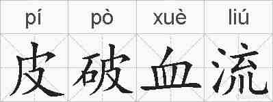 皮破血流的拼音
