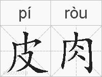 皮肉的拼音