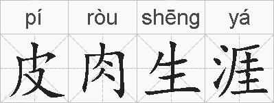 皮肉生涯的拼音