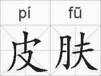 皮肤的拼音