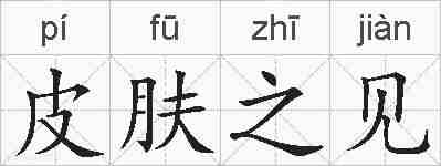 皮肤之见的拼音
