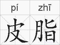 皮脂的拼音