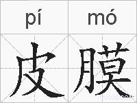 皮膜的拼音