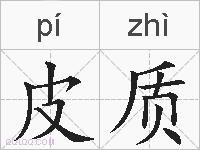 皮质的拼音