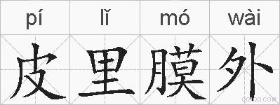 皮里膜外的拼音