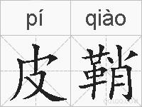 皮鞘的拼音