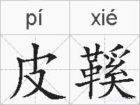 皮鞵的拼音