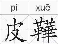 皮鞾的拼音