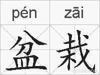 盆栽的拼音