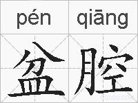 盆腔的拼音