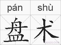 盘术的拼音