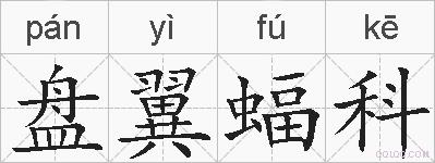 盘翼蝠科的拼音