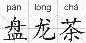 盘龙茶的拼音
