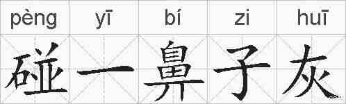 碰一鼻子灰的拼音