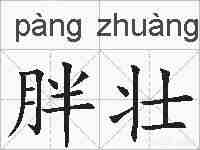 胖壮的拼音