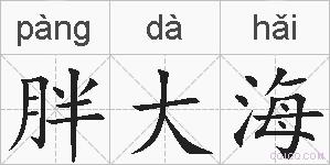 胖大海的拼音