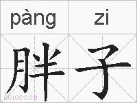 胖子的拼音