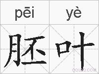 胚叶的拼音