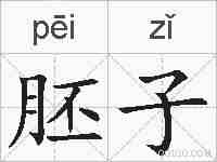 胚子的拼音