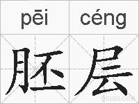 胚层的拼音