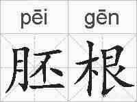 胚根的拼音