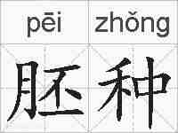 胚种的拼音