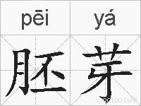 胚芽的拼音