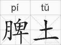 脾土的拼音