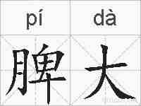脾大的拼音