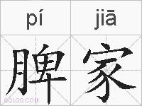 脾家的拼音