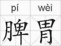 脾胃的拼音