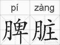 脾脏的拼音