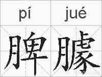 脾臄的拼音
