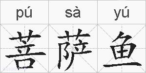 菩萨鱼的拼音