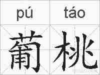 葡桃的拼音