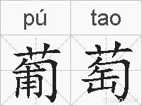 葡萄的拼音