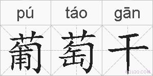 葡萄干的拼音