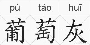 葡萄灰的拼音