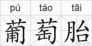 葡萄胎的拼音
