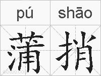 蒲捎的拼音