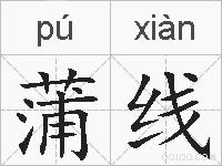蒲线的拼音
