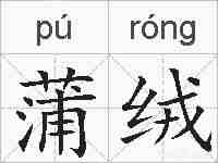 蒲绒的拼音