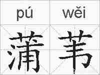 蒲苇的拼音