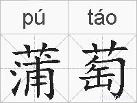 蒲萄的拼音